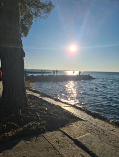 Fiore del Garda - Desenzano del Garda - 2