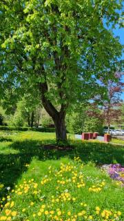 Relax, Cozy and Welcoming Room Near train station - - 7