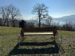 Vitabella Rügel - 4