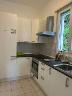 La Maison du Lac - Bissone - 5