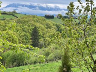 Cabana Dintre Fagi - Poiana Mărului - 7