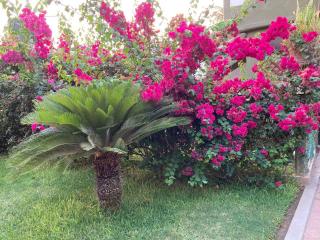 hotel las olas zicatela 2 - Brisas de Zicatela - 6