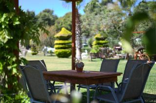 Nonta's Garden - nature & waves - Yiannitsokhórion - 3