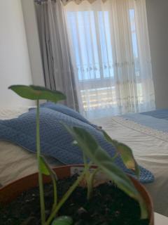 Your Peaceful Corner on the Beach - Aracaju - 5