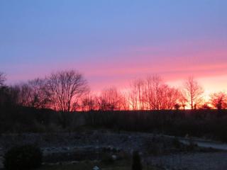 Noor-OG-mit-Studio-Nr-4 - 2