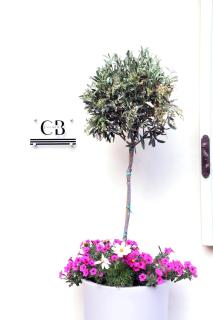 DESIGN FLAT Casa Belli - Alba - 9