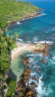 Parrot Tree House - Mirissa - 9