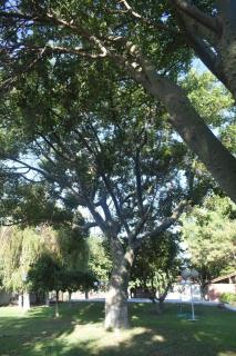 Casa quinta soñada! - 6