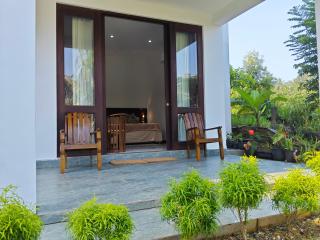 Fog Kandy - 1