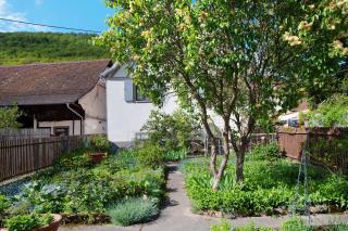 Ferienhaus Hildahüsli - Badenweiler - 9