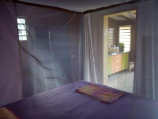 Gites Les Palmiers - 1