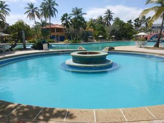 Wifi, Full Central Air, comfortable - Tucacas - 6