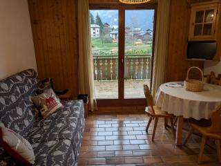 Appartement cosy pour 5 pers avec parking à Châtel - FR-1-676-211 - Châtel - 2