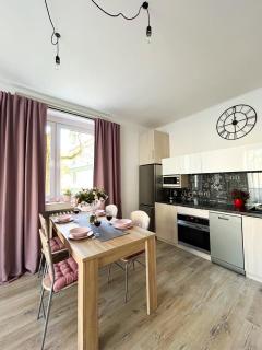Lumina homely apartament in lodz - Łódź - 1