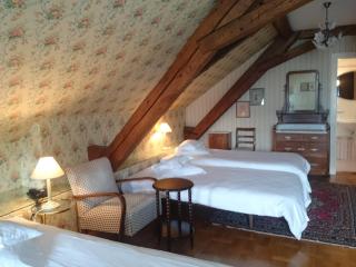 Swiss Historic Hotel Masson - 7