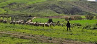 B&B Della Via Francigena - Agrigento - 4