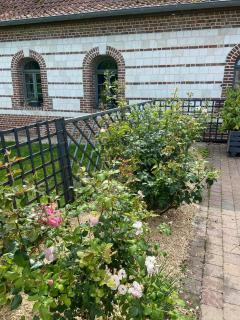 Domaine des Daims de la Baie de Somme - 9