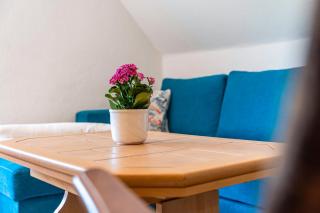 Ferienwohnung 3 - Groß Zicker - 8