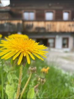 Appartamento Netta'Schtol - Sappada - 8