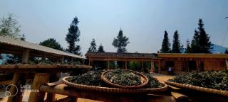 Mountain Views Homestay - Kon Rung (1) - 4