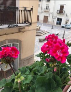 La Terrazza - Marsala - 6