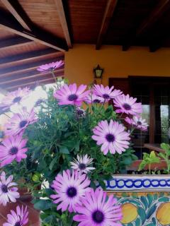 Un balcone sul mare - 3