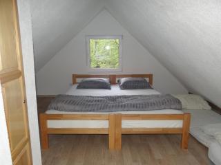 Vrbas Dreams - Torlakovac - 7