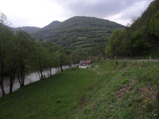 Vrbas Dreams - Torlakovac - 6