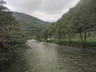 Vrbas Dreams - Torlakovac - 4