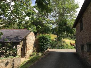 2 Bed Apartment with Shared Pool - Kingsbridge - 5