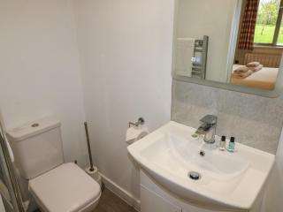 Alder - Cowbridge - 4
