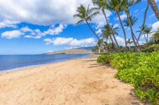 Beachfront Condo in Kihei - Kihei - 8