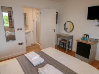 Chestnut - Cowbridge - 4