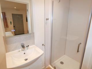Chestnut - Cowbridge - 2
