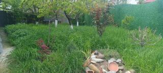 Cozy 2 floor house with beautiful green garden - Martqopʼi - 7