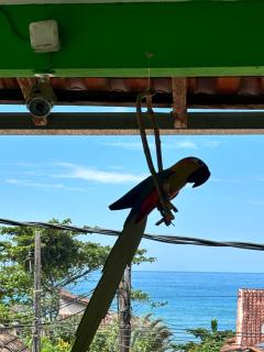 Pouso da Celeste - Trindade - Trindade - 6