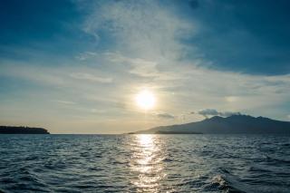 PITI Nest Self-Service Home in Rainforest Nest - Wi-fi, Monkeys, Bats, Pet Friendly with a Fee - 5