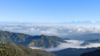Cuckoo Wood Room - Mukteshwar - 0