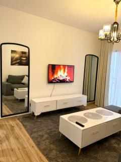 Snyder luxe homes - Tatu City - 8
