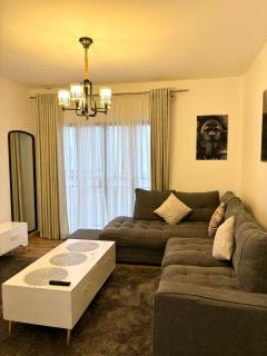 Snyder luxe homes - Tatu City - 3