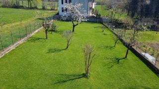 Spacious house with garden - Agrate Conturbia - 4