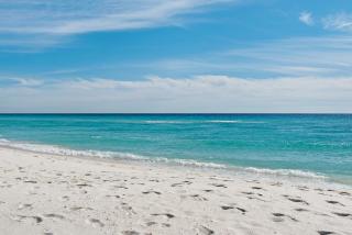 The Driftwood Condo by Gulf Coast Getaways - 7