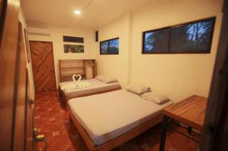Hotel Pura Natura Beachfront Tortuguero - Tortuguero - 7
