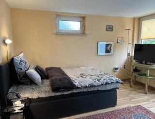 Weserfeeling Apartment in Höxter - 1
