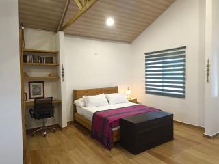 Blue Lizard House - San Andrés - 6
