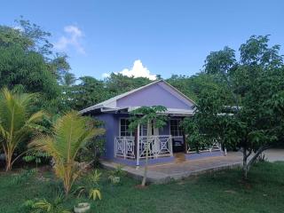 Blue Lizard House - San Andrés - 7