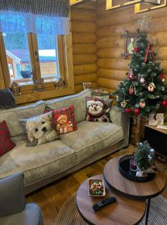 Holiday home Nola - Fužine - 1