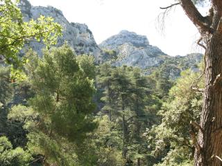 Maison en PROVENCE - Robion en Luberon - 9