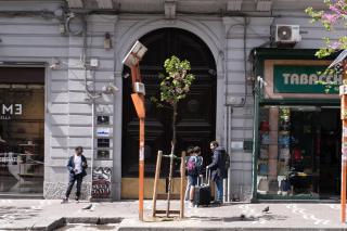 B&B Università - Napoli - 5