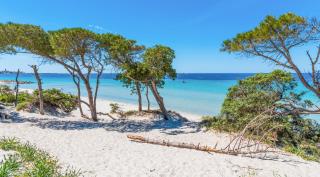 ClickSardegna Villa Lucilla with swimming pool in olive groves - 9